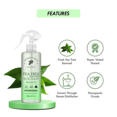 https://cdn.shopify.com/s/files/1/1857/6931/files/wXEjeqXtsc-235565.png?v=1736149328
